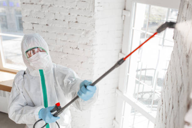Best Forensic Mold Investigation  in East Lake, FL