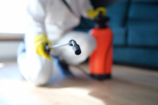 Best Post-Remediation Verification Testing  in East Lake, FL