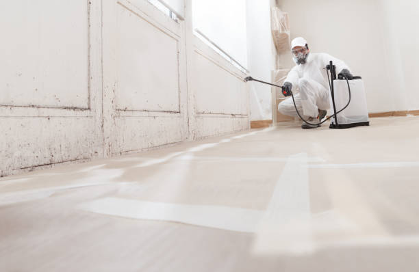 Mold Documentation for Insurance Claims in East Lake, FL